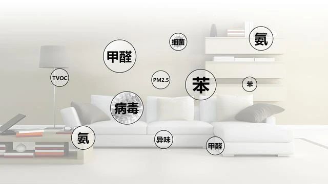 微信图片_20241119164523.jpg